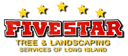 Five Star Tree & Landscaping Service